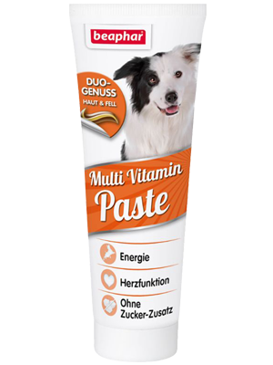 Multi-Vitamin Paste for Dogs