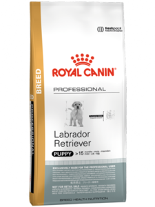 Labrador Retriever Puppy 16kg Professional