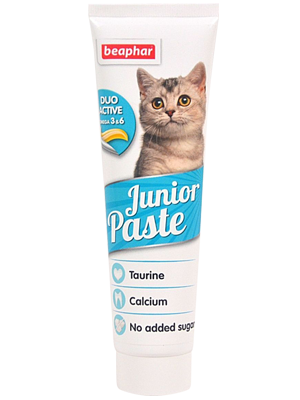 Junior Paste Cat