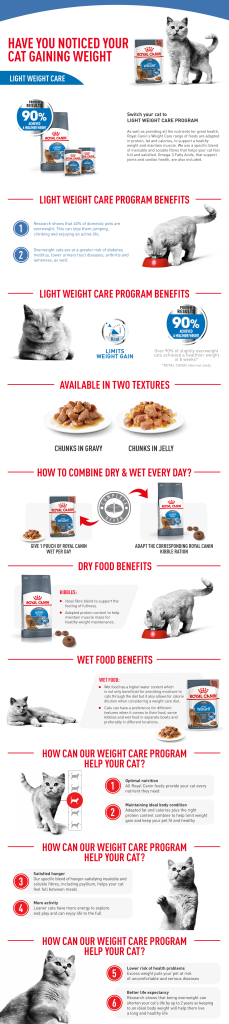 Royal Canin Light Weight Care Gravy, 4 stuks, 4 x 12 x 85 g, natvoer voor katten, ter ondersteuning van zwaarlijvige katten, bevat ijzer, mangaan en zink