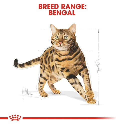 Bengal Adult 2kg