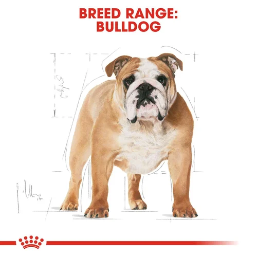 Bulldog Adult 3kg