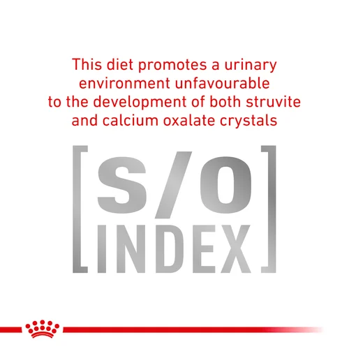 Diabetic Cat 400G