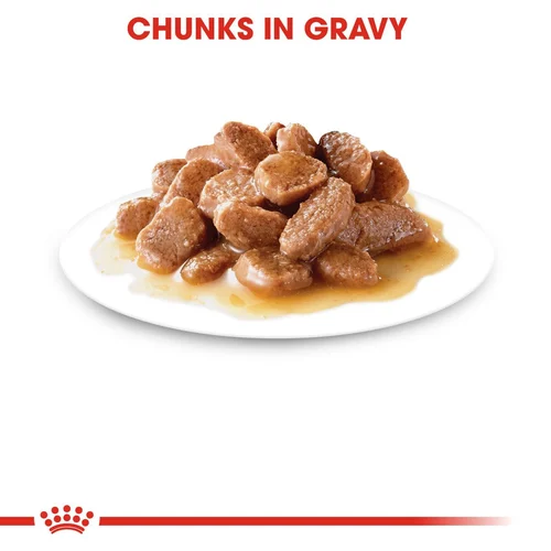 Digest Sensitive Chunks In Gravy 12X85G