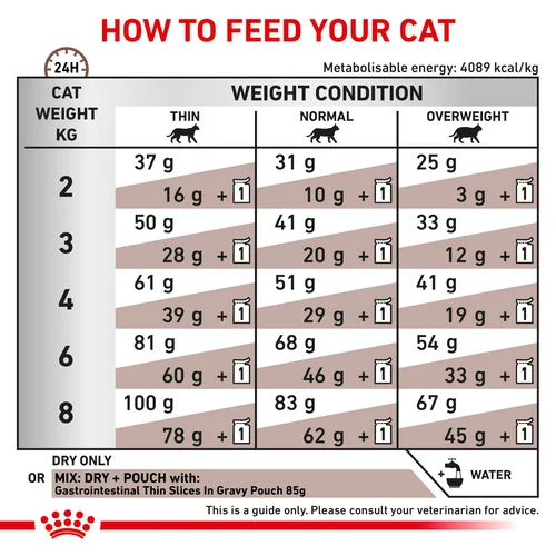 Gastrointestinal Cat 400G