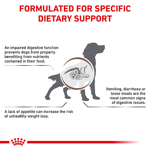 Gastrointestinal Dog 2KG