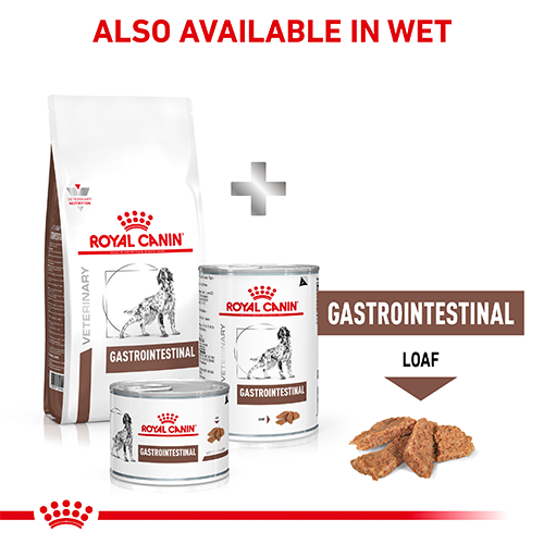 Gastrointestinal Dog 2KG