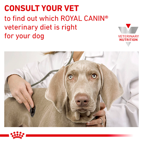 Gastrointestinal Dog 2KG