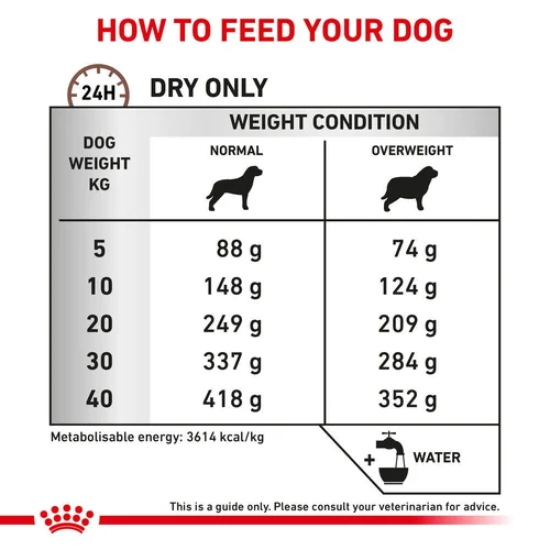 Gastrointestinal Moderate Calorie Dog 2KG