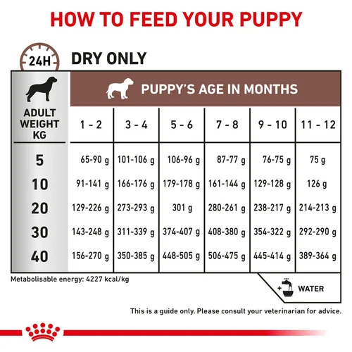 Gastrointestinal Puppy 1 KG