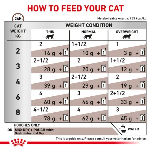 Gastrointestinal Thin Slices In Gravy Cat 12X85G