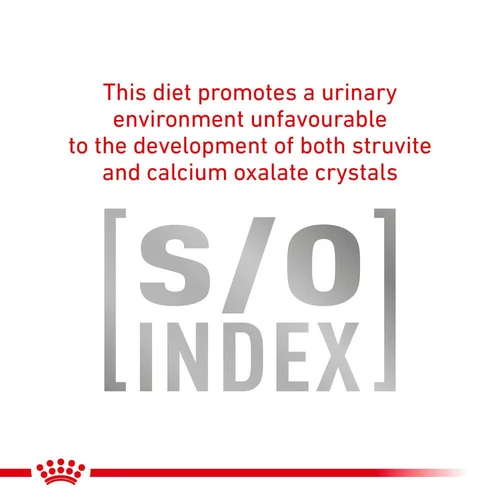 Gastrointestinal Thin Slices In Gravy Cat 12X85G