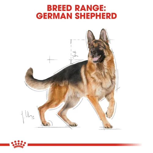 German Shepherd Adult 3kg