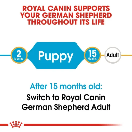 German Shepherd Puppy 3kg