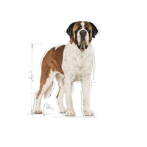Giant Adult 15kg