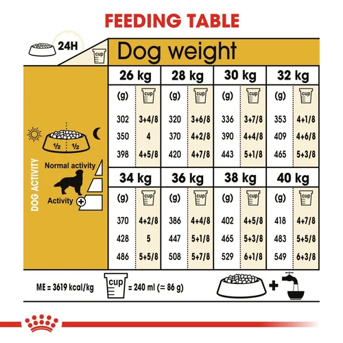 Golden Retriever Adult 12kg