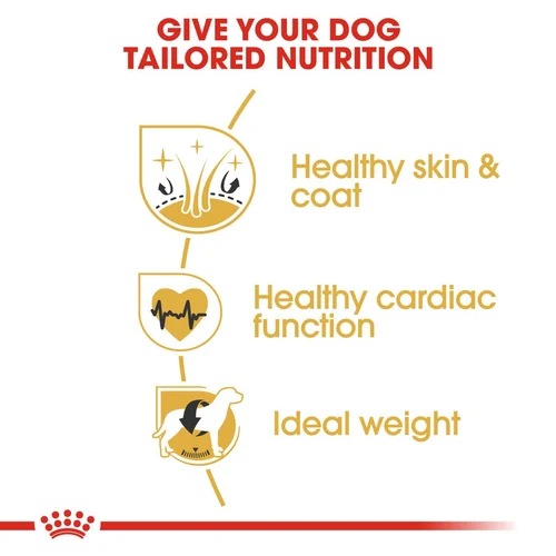 Golden Retriever Adult 12kg