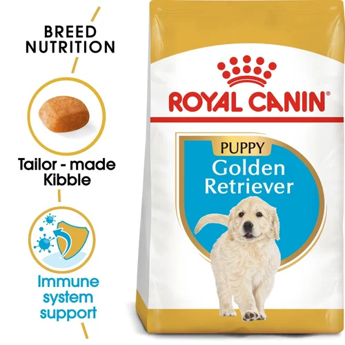 Golden Retriever Puppy 1kg
