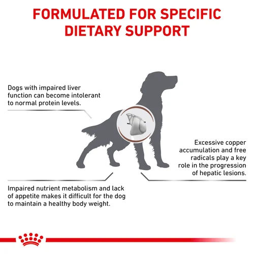 Hepatic Dog 1.5KG