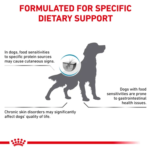 Hypoallergenic Dog 2KG