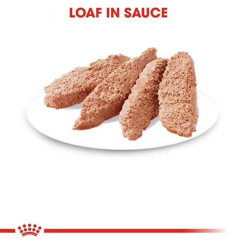 Instinctive Loaf 12 X 85g