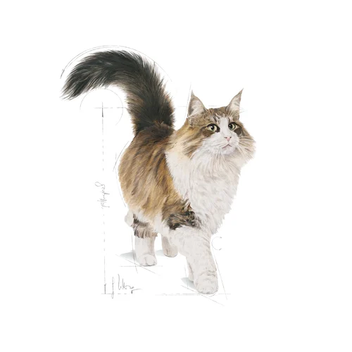 Instinctive Loaf 12 X 85g