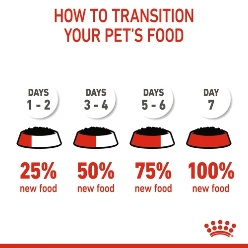 Kitten Chunks In Gravy 12X85g