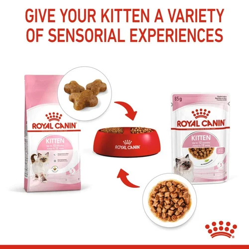 Kitten Chunks In Gravy 12X85g