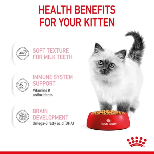 Kitten Chunks In Jelly 12 X 85g