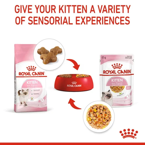 Kitten Chunks In Jelly 12 X 85g