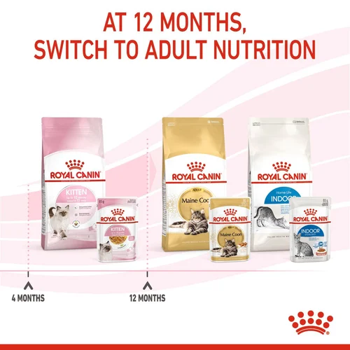 Kitten Chunks In Jelly 12 X 85g