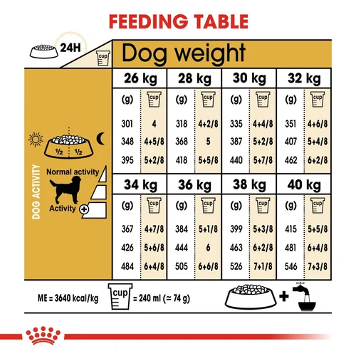 Labrador Retriever Adult 12kg