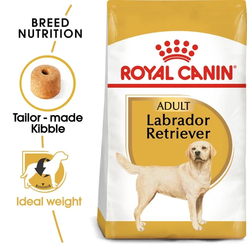 Labrador Retriever Adult 12kg