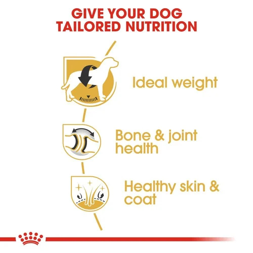 Labrador Retriever Adult 3kg