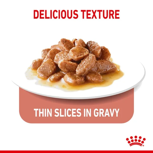 Light Weight Care Gravy Thin Slices In Gravy 12 X 85G
