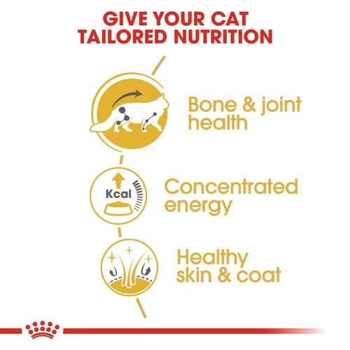 Maine Coon Thin Slices In Gravy 12X85G