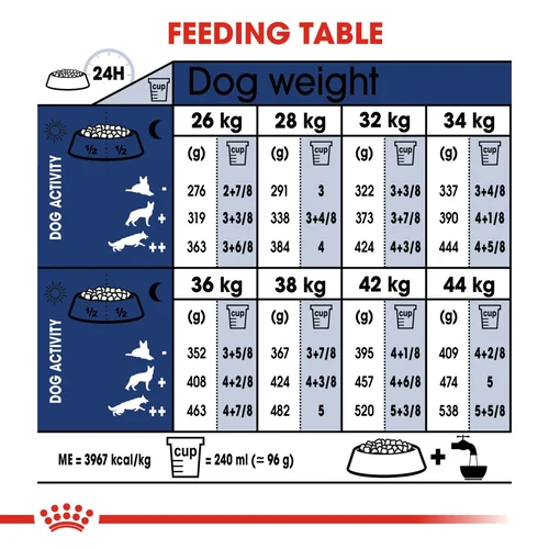 Maxi Adult 10kg