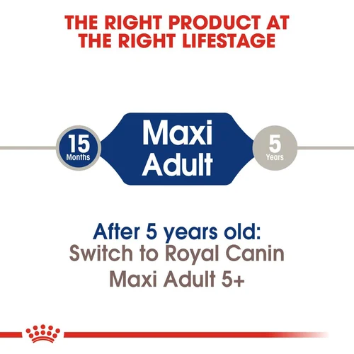 Maxi Adult 10kg