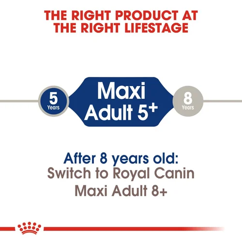 Maxi Adult 5 4kg