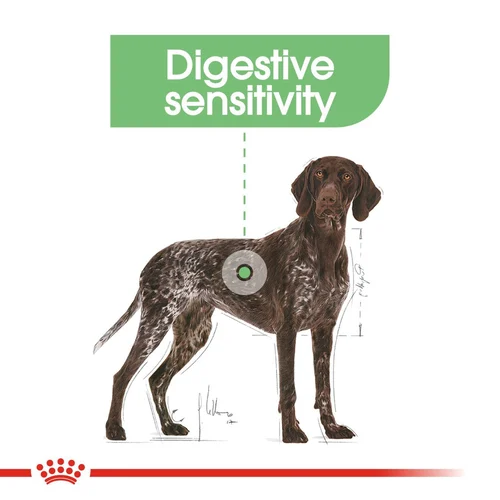 Maxi Digestive Care 3KG