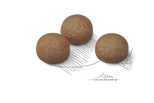 Maxi Digestive Care 3KG