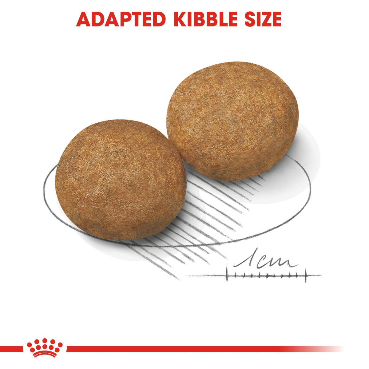 Medium Adult 4kg Image 6