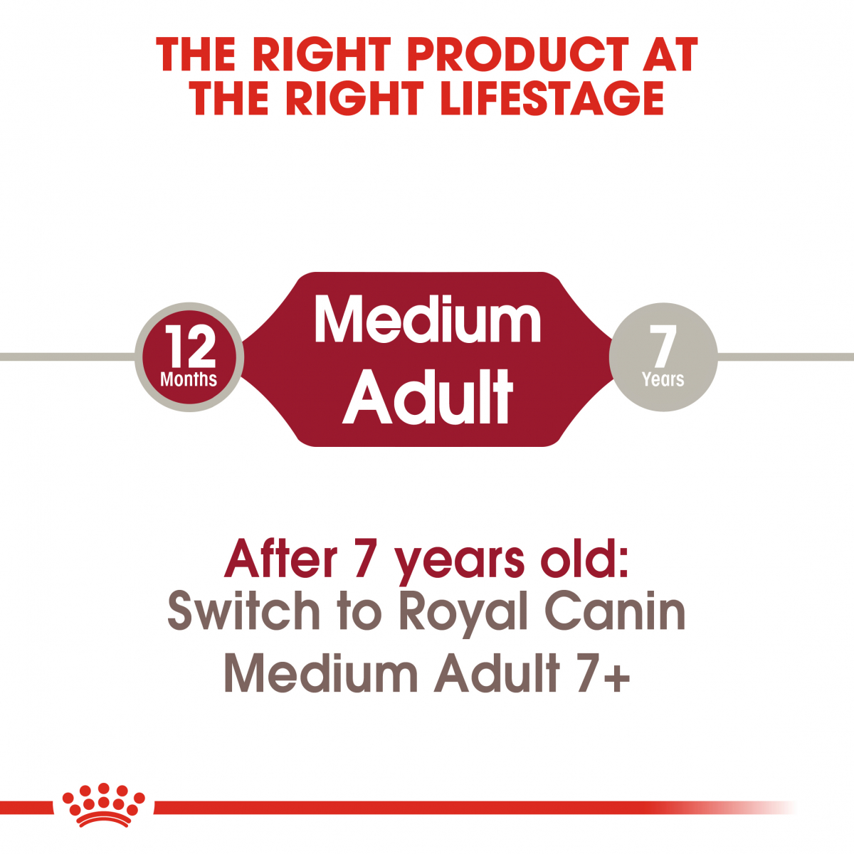 Medium Adult 4kg Image 8