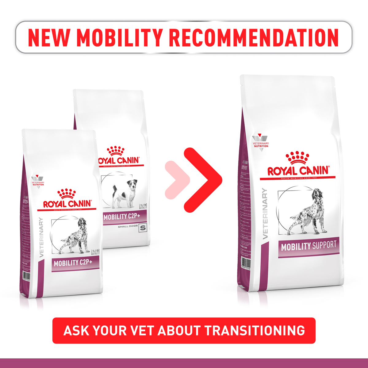 Mobility Support 2kg