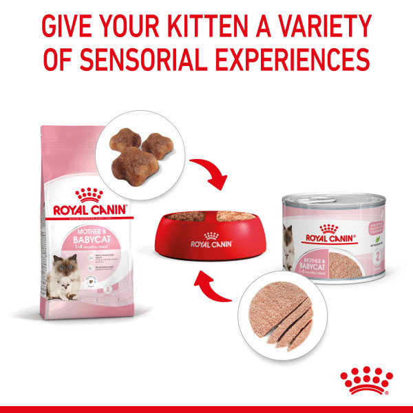Mother  Babycat (ultra-soft mousse) 195g