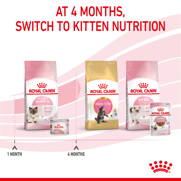 Mother  Babycat (ultra-soft mousse) 195g