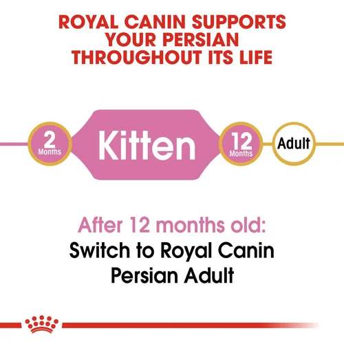 Persian Kitten 2kg