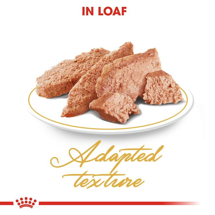 Persian Loaf 12X85g