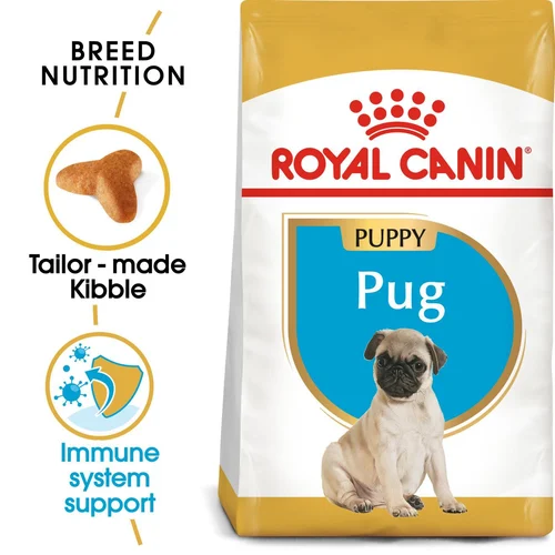 Pug Puppy 1.5kg