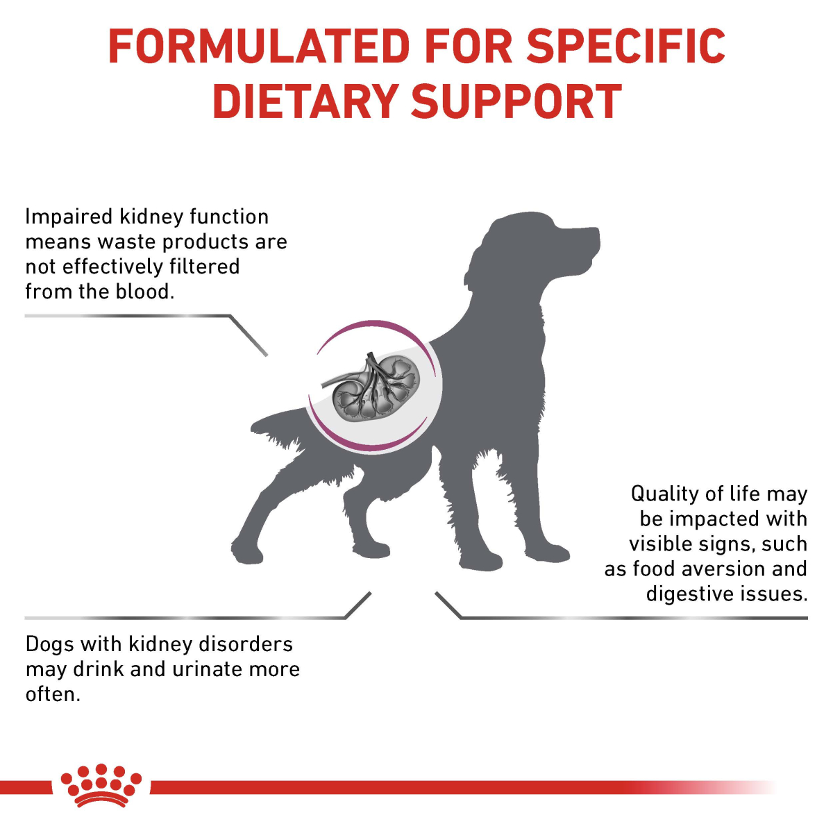 Renal Dog